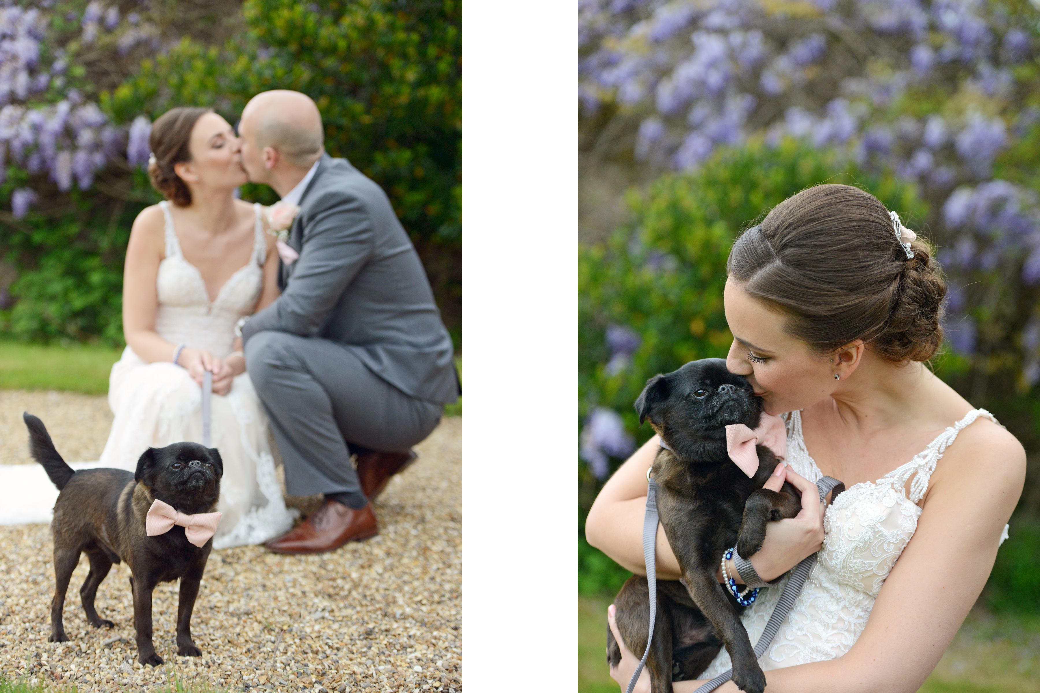 bride and groom with pug