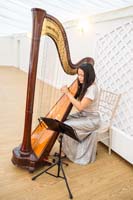 064_harpist